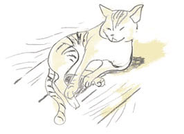 免疫力向上とデトックス